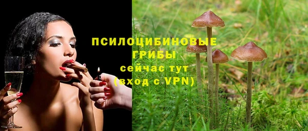 мескалин Алексин