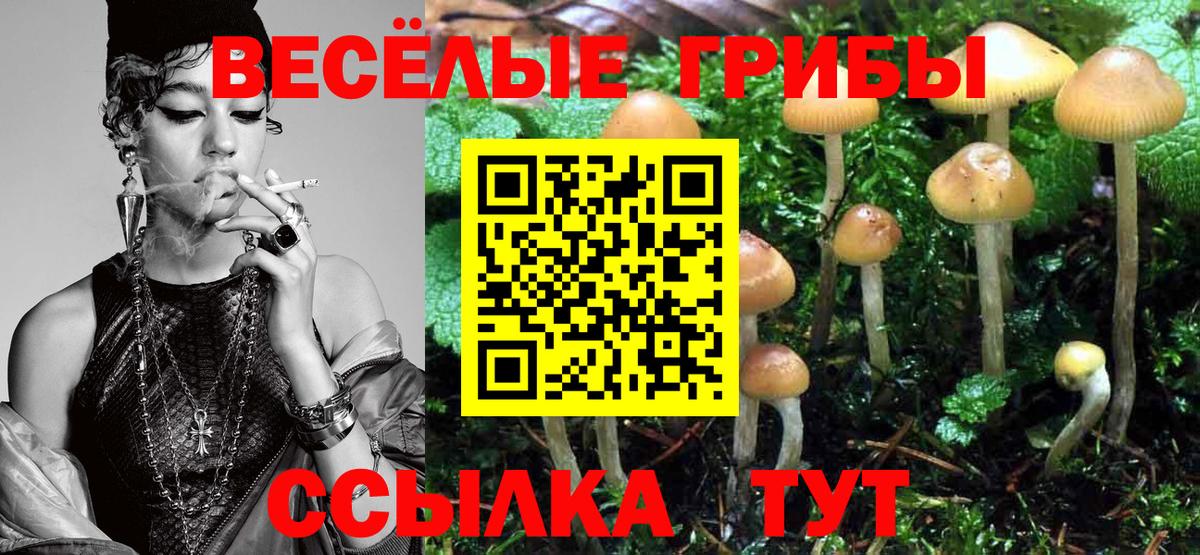 где продают наркотики  Вход с VPN  Галлюциногенные грибы Psilocybe  Анжеро-Судженск  Галлюциногенные грибы ЛСД 